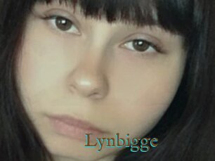 Lynbigge