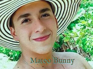 Mateo_Bunny