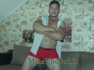 MikeTheBuLL