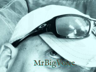 MrBigVoice