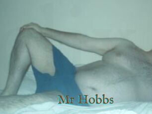 Mr_Hobbs