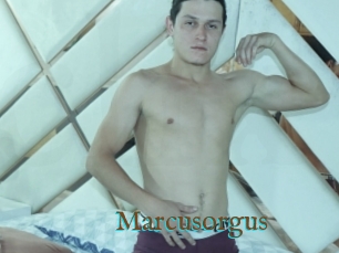 Marcusorgus