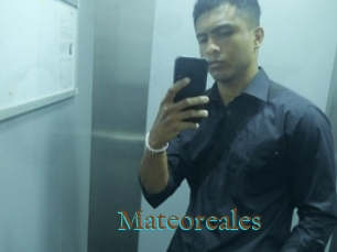 Mateoreales