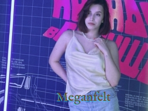 Meganfelt