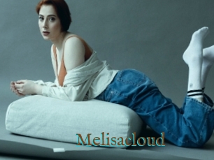 Melisacloud