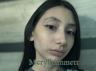 Merylhammett