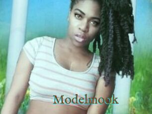 Modelmook