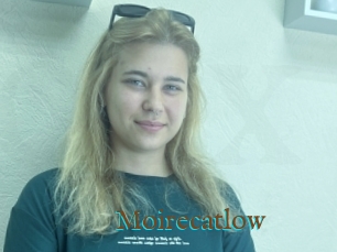 Moirecatlow