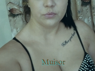 Muisor