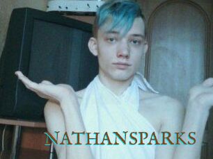 NATHAN_SPARKS