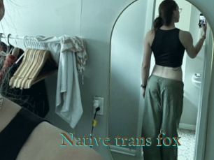 Native_trans_fox