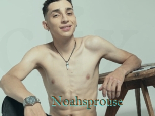 Noahsprouse