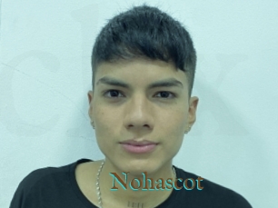 Nohascot