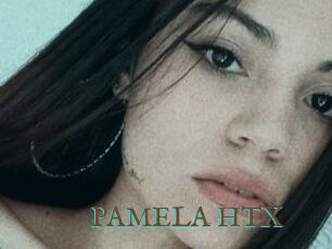 PAMELA_HTX