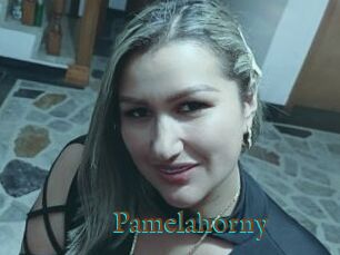 Pamelahorny