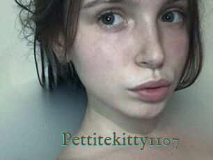 Pettitekitty1107