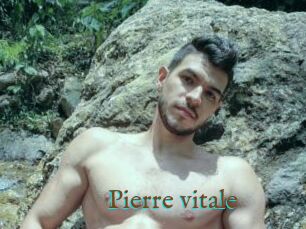 Pierre_vitale