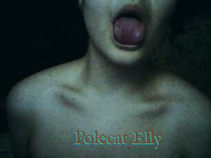 Polecat_Elly