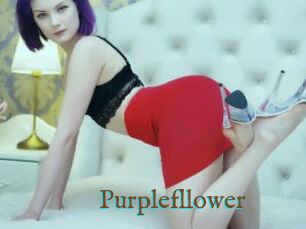 Purplefllower