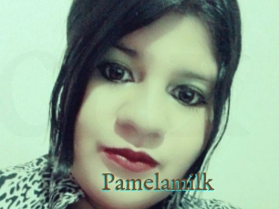 Pamelasuite