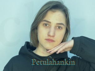 Petulahankin