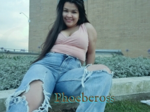 Phoebeross