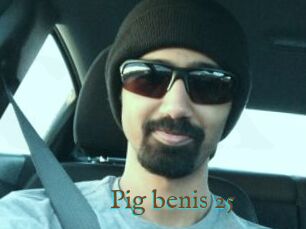 Pig_benis_25