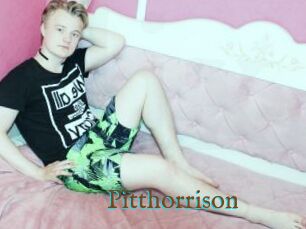 Pitthorrison