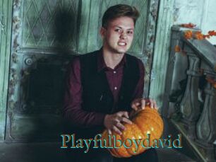 Playfulboydavid