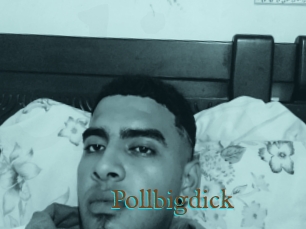 Pollbigdick