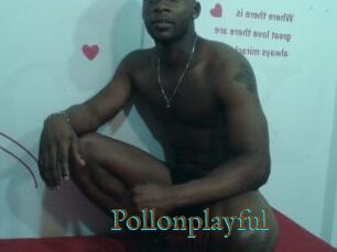 Pollonplayful