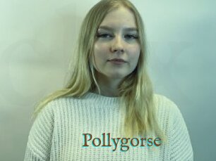 Pollygorse