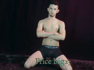 Price_big23