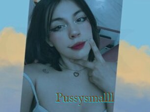 Pussysmalll