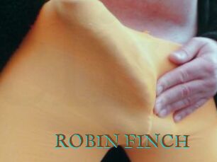 ROBIN_FINCH