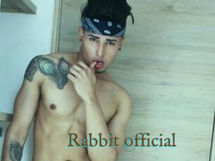 Rabbit_official