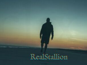 RealStallion