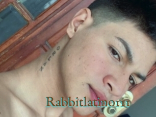 Rabbitlatino111