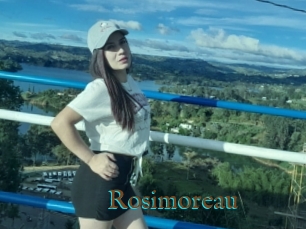 Rosimoreau