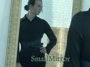 SmallMirror