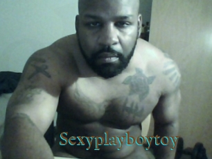 Sexyplayboytoy