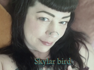 Skylar_bird