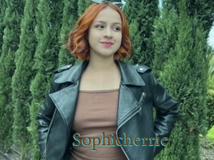 Sophicherrie