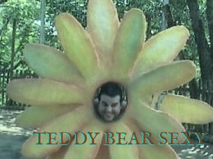 TEDDY_BEAR_SEXY