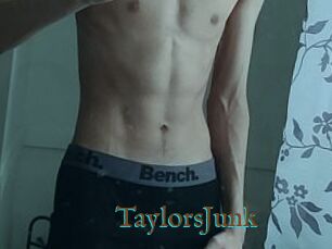 TaylorsJunk