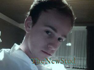 TheNewStud