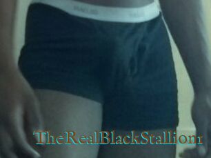 TheRealBlackStallion1