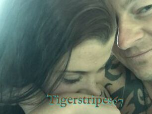 Tigerstripes67