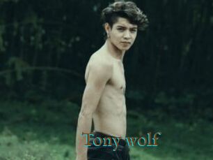 Tony_wolf