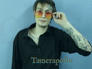 Tamerapollo